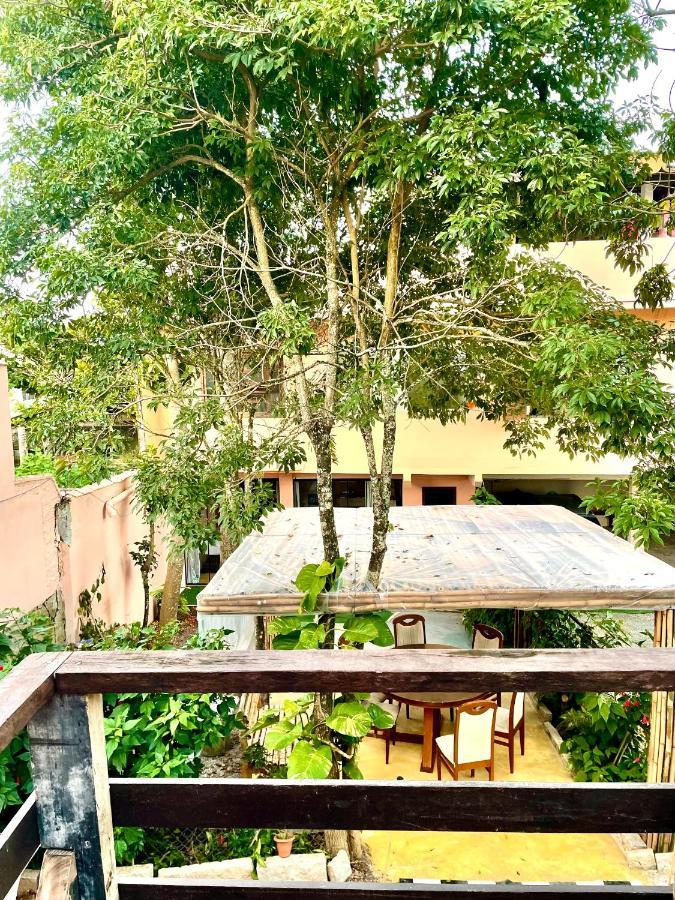 Pousada Happy Hostel Sao Francisco do Sul Bagian luar foto